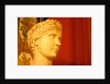 Josephine Bonaparte by Stuart Cox