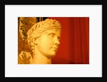 Josephine Bonaparte by Stuart Cox
