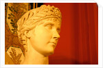Josephine Bonaparte by Stuart Cox