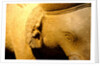 Elephant, detail by Stuart Cox