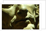 Bust of Jesus Christ, detail of face by Stuart Cox