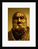 Pope Sixtus V by Stuart Cox