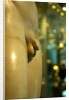Castor & Pollux, detail by Stuart Cox