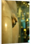 Castor & Pollux, detail by Stuart Cox