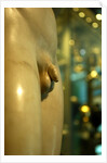 Castor & Pollux, detail by Stuart Cox