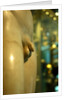 Castor & Pollux, detail by Stuart Cox