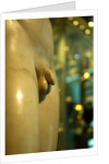 Castor & Pollux, detail by Stuart Cox