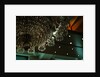Chandelier from Wroxton Abbey by Stuart Cox