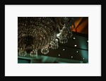 Chandelier from Wroxton Abbey by Stuart Cox