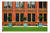 V&A Museum, John Madejski Garden, designed by Kim Wilkie by Stuart Cox