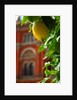 V&A Museum, John Madejski Garden, designed by Kim Wilkie by Stuart Cox