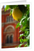 V&A Museum, John Madejski Garden, designed by Kim Wilkie by Stuart Cox