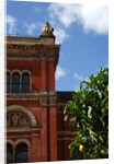 V&A Museum, John Madejski Garden, designed by Kim Wilkie by Stuart Cox