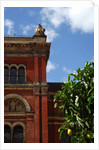 V&A Museum, John Madejski Garden, designed by Kim Wilkie by Stuart Cox