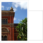 V&A Museum, John Madejski Garden, designed by Kim Wilkie by Stuart Cox