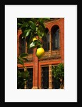 V&A Museum, John Madejski Garden, designed by Kim Wilkie by Stuart Cox