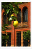 V&A Museum, John Madejski Garden, designed by Kim Wilkie by Stuart Cox