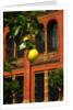 V&A Museum, John Madejski Garden, designed by Kim Wilkie by Stuart Cox