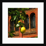 V&A Museum, John Madejski Garden, designed by Kim Wilkie by Stuart Cox