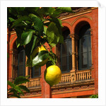 V&A Museum, John Madejski Garden, designed by Kim Wilkie by Stuart Cox