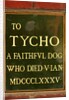 Plaque in memory of Tycho, pet dog of Sir Henry Cole, in the John Madejski Garden of the V&A Museum by Stuart Cox