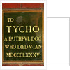 Plaque in memory of Tycho, pet dog of Sir Henry Cole, in the John Madejski Garden of the V&A Museum by Stuart Cox