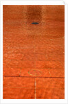 The colour of the building reflected in the pool in the John Madejski Garden of the V&A Museum by Stuart Cox