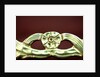 Shoe buckle, detail by Stuart Cox