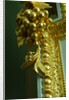 Monkey doorway from Norfolk House, detail by Stuart Cox