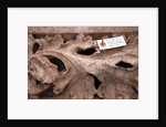 Doorway sections by Stuart Cox