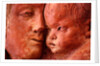 The Virgin and Child by Stuart Cox
