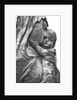 The Virgin and Child by Stuart Cox