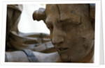 Venus and Adonis, detail by Stuart Cox