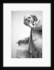 William Shakespeare by Stuart Cox