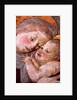 The Virgin & Child, Florence, Italy, mid-15th century by Stuart Cox