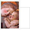 The Virgin & Child, Florence, Italy, mid-15th century by Stuart Cox