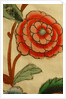 Dress, detail by Stuart Cox