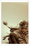 Angel in flight by Stuart Cox
