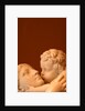 Maternal Affection by Stuart Cox