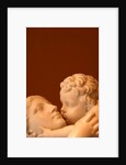 Maternal Affection by Stuart Cox