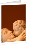 Maternal Affection by Stuart Cox