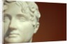 Bust of Henrietta Pelham by Stuart Cox