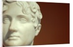 Bust of Henrietta Pelham by Stuart Cox