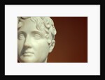 Bust of Henrietta Pelham by Stuart Cox