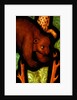 Bear from St by Stuart Cox
