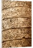 Trajan's column by Stuart Cox