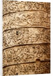 Trajan's column by Stuart Cox