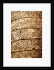 Trajan's column by Stuart Cox