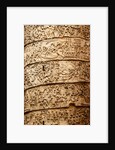 Trajan's column by Stuart Cox