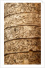 Trajan's column by Stuart Cox